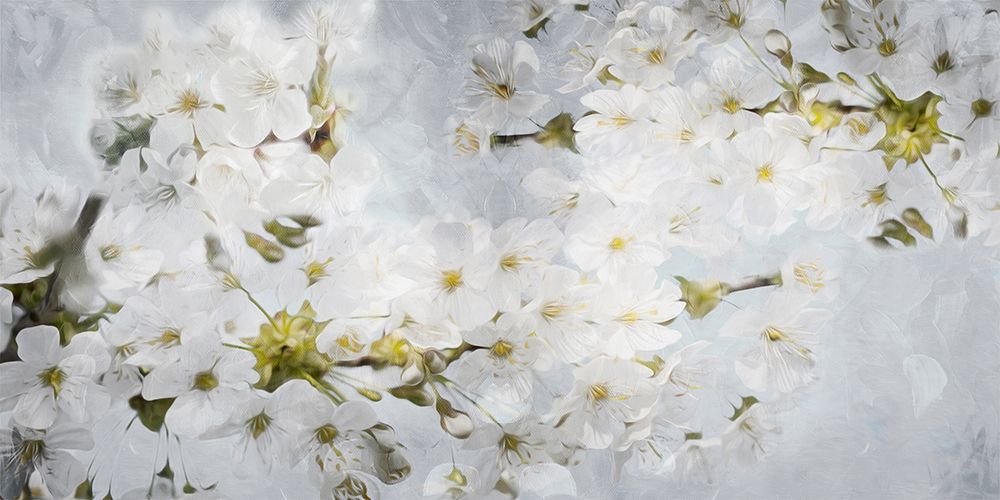 More White Flowers In Grey art print by Milli Villa for $57.95 CAD