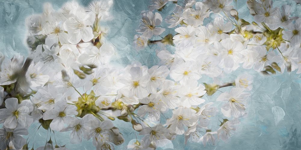 More White Flowers In Blue art print by Milli Villa for $57.95 CAD