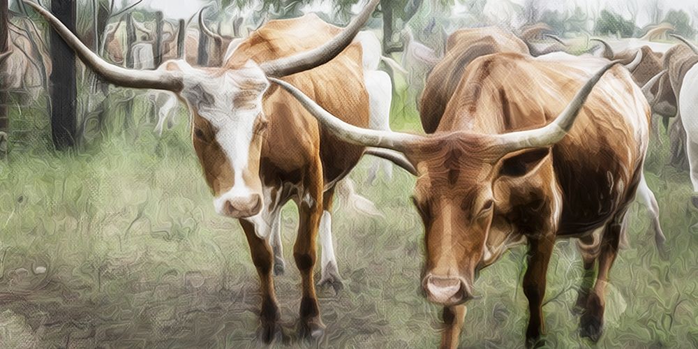 We Roam Together art print by Milli Villa for $57.95 CAD