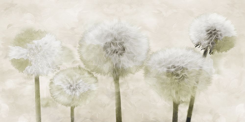 Make Another Wish art print by Milli Villa for $57.95 CAD