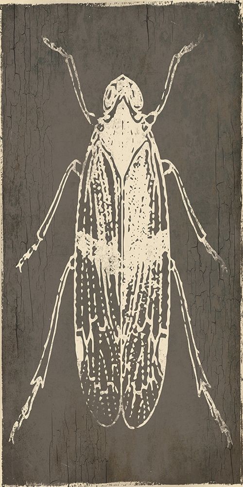 Bug Life One art print by Milli Villa for $57.95 CAD