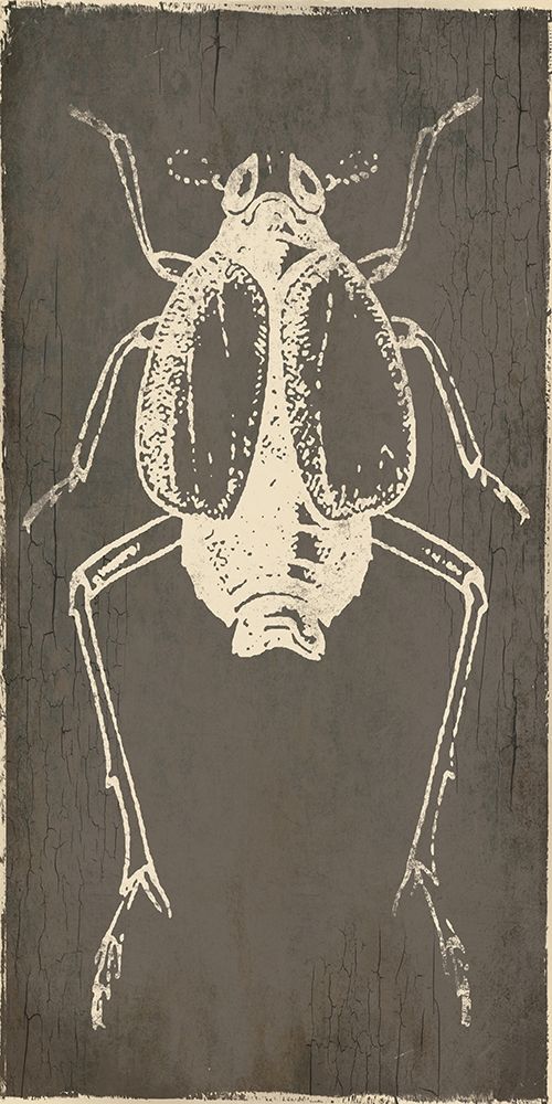 Bug Life Two art print by Milli Villa for $57.95 CAD