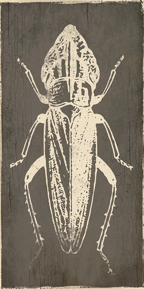 Bug Life Three art print by Milli Villa for $57.95 CAD