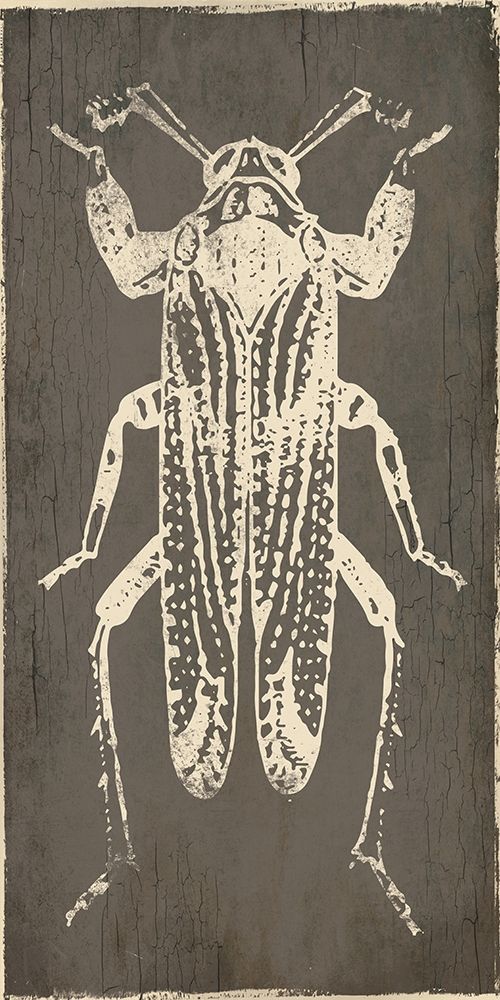 Bug Life Four art print by Milli Villa for $57.95 CAD