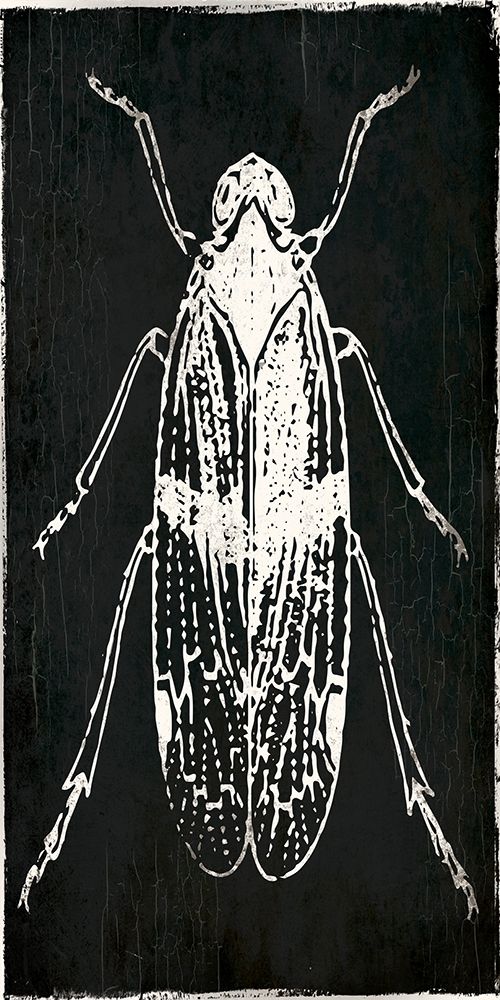 Bug Life One Black art print by Milli Villa for $57.95 CAD