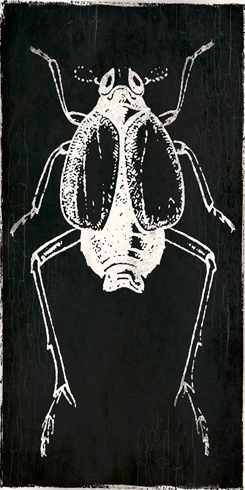 Bug Life Two Black art print by Milli Villa for $57.95 CAD