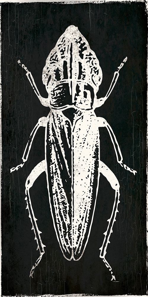 Bug Life Three Black art print by Milli Villa for $57.95 CAD
