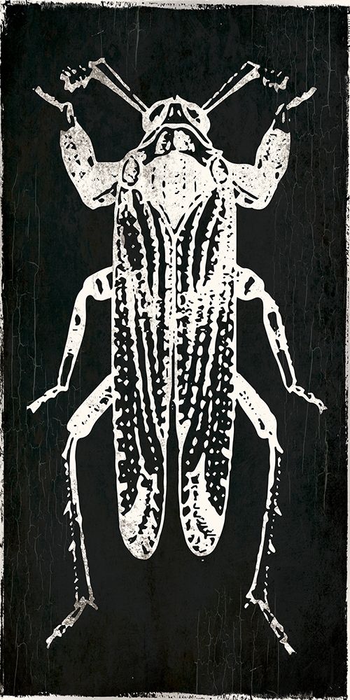 Bug Life Four Black art print by Milli Villa for $57.95 CAD