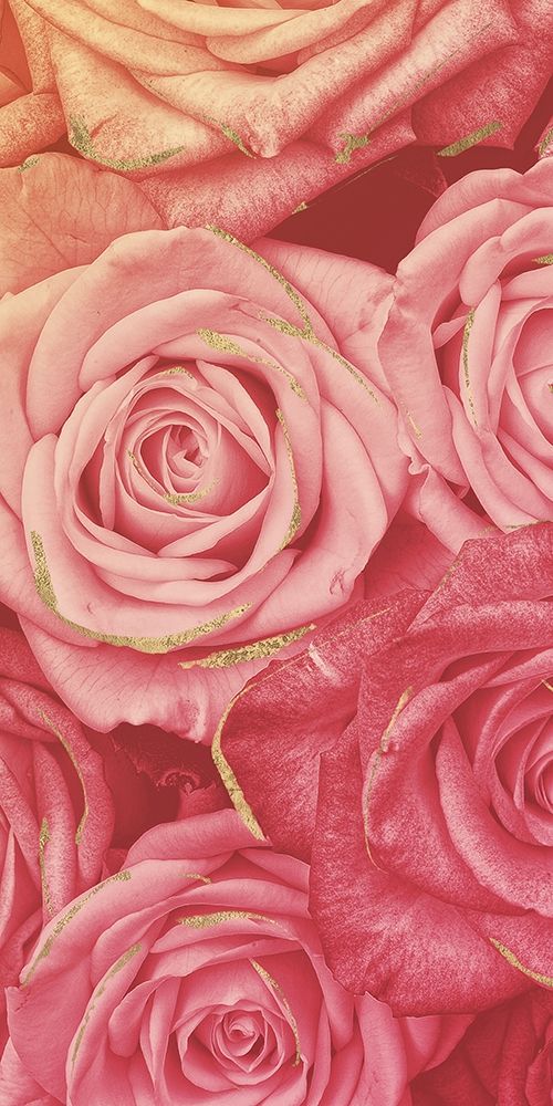 Pink Gold Roses art print by Milli Villa for $57.95 CAD