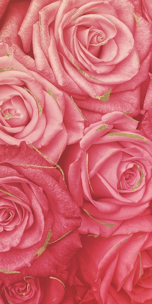 Pink Gold Roses Mate art print by Milli Villa for $57.95 CAD