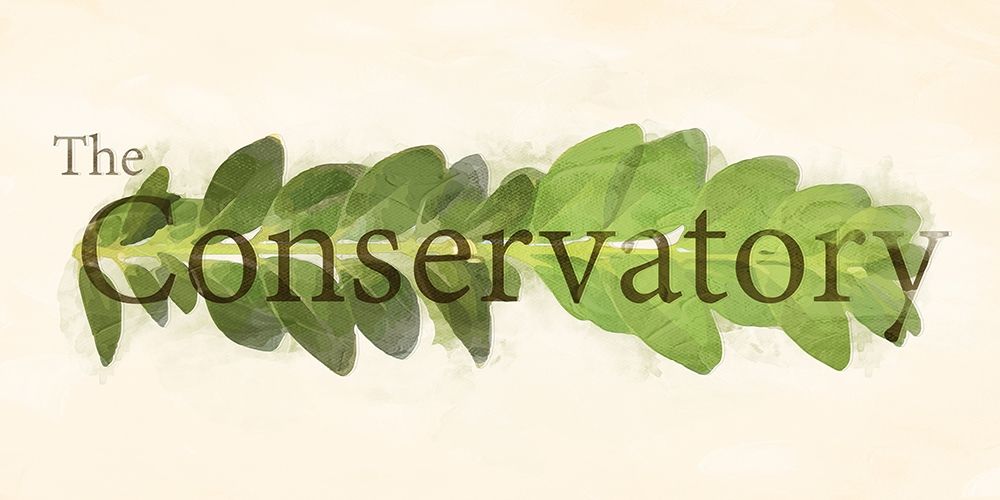The Conservatory art print by Milli Villa for $57.95 CAD