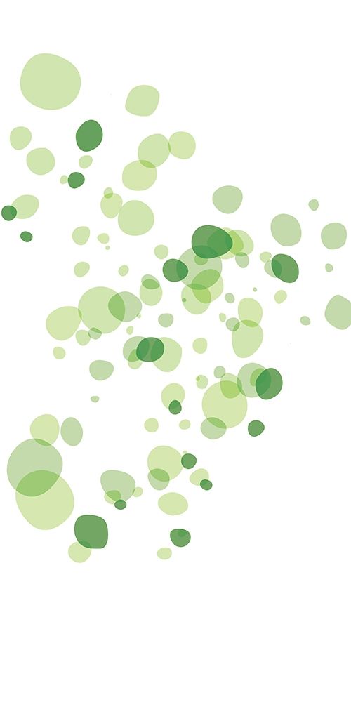 Turtle Spots art print by Milli Villa for $57.95 CAD