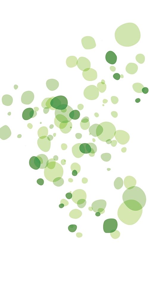 Turtle Spots Mate art print by Milli Villa for $57.95 CAD