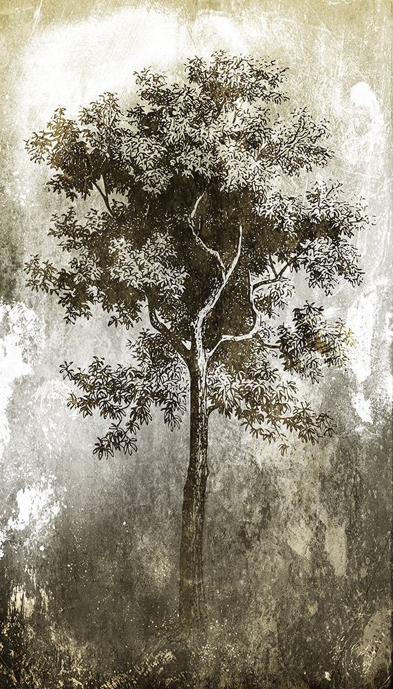 Tree In The Gloom art print by Milli Villa for $57.95 CAD