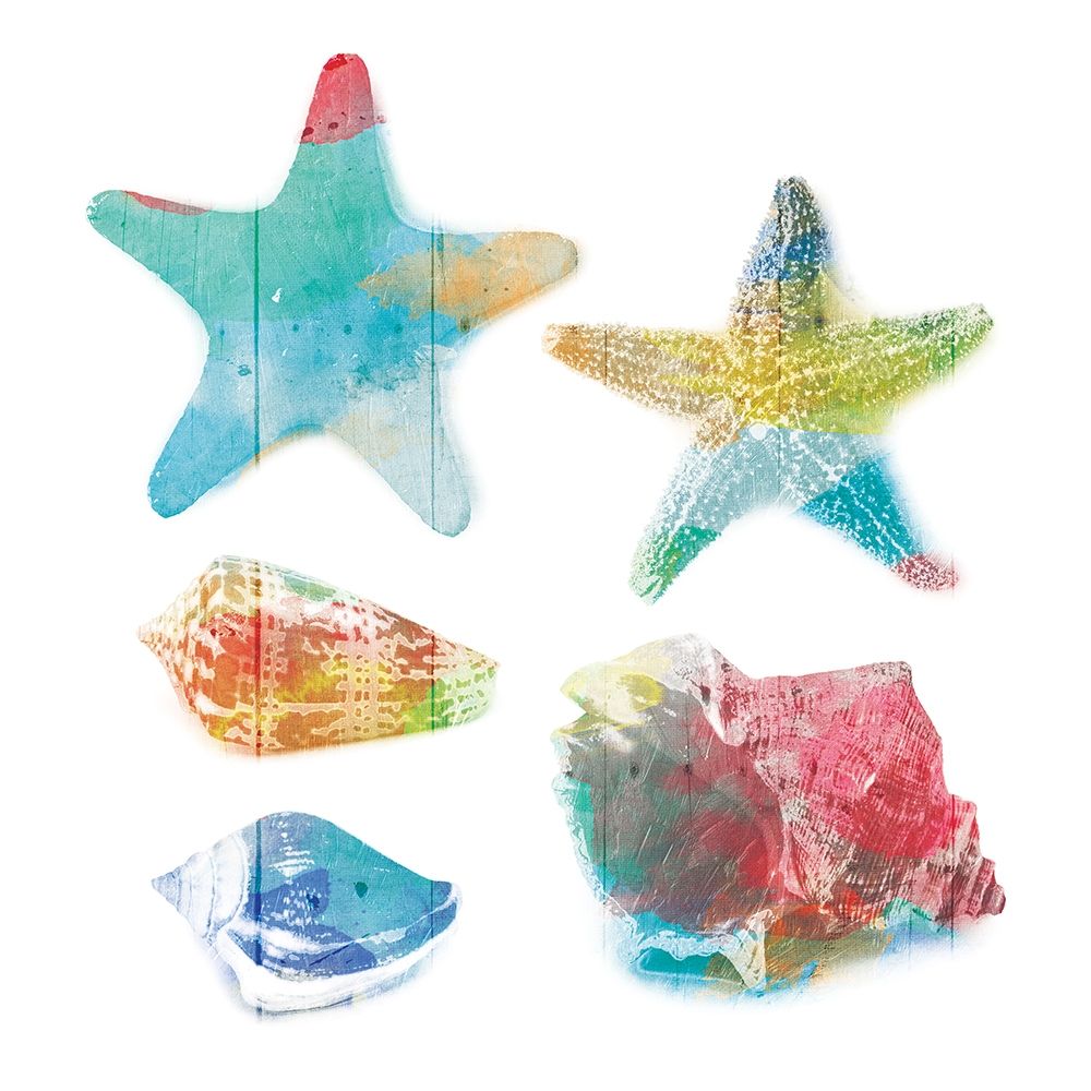 Shells and Stars art print by Milli Villa for $57.95 CAD