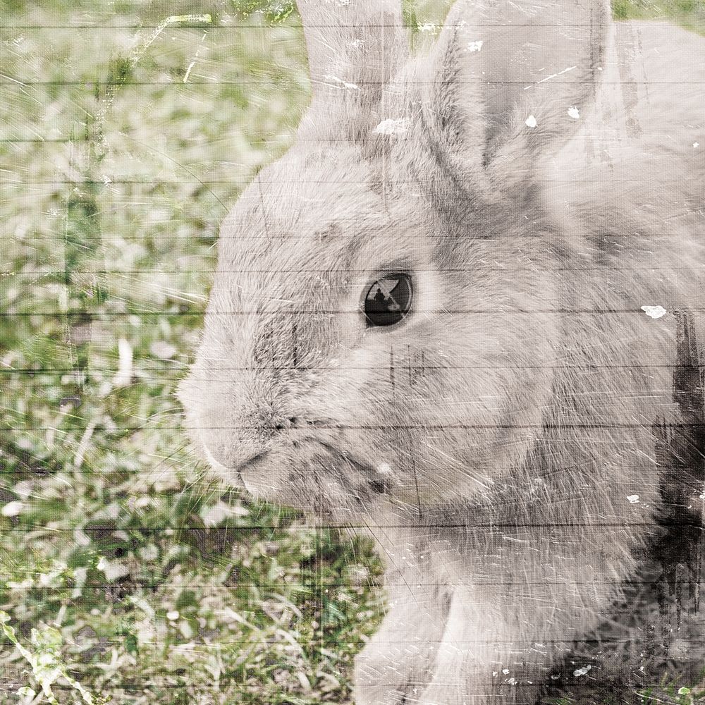 Bunny See art print by Milli Villa for $57.95 CAD