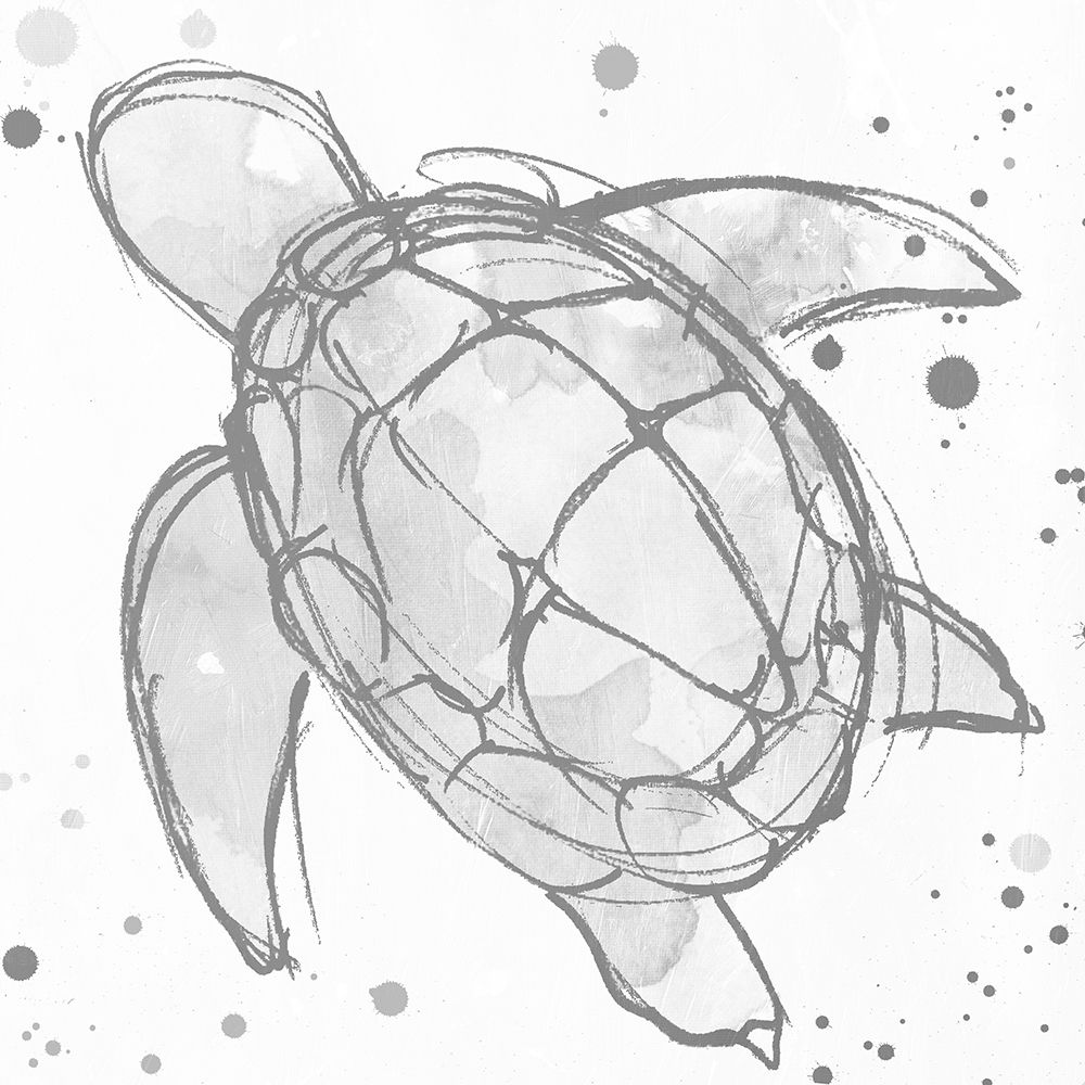 Minimal Sketch Turtle Grey art print by Milli Villa for $57.95 CAD