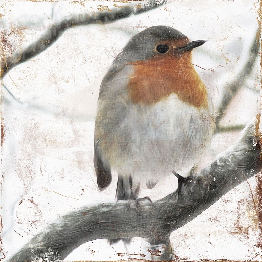 Cold Bird art print by Milli Villa for $57.95 CAD
