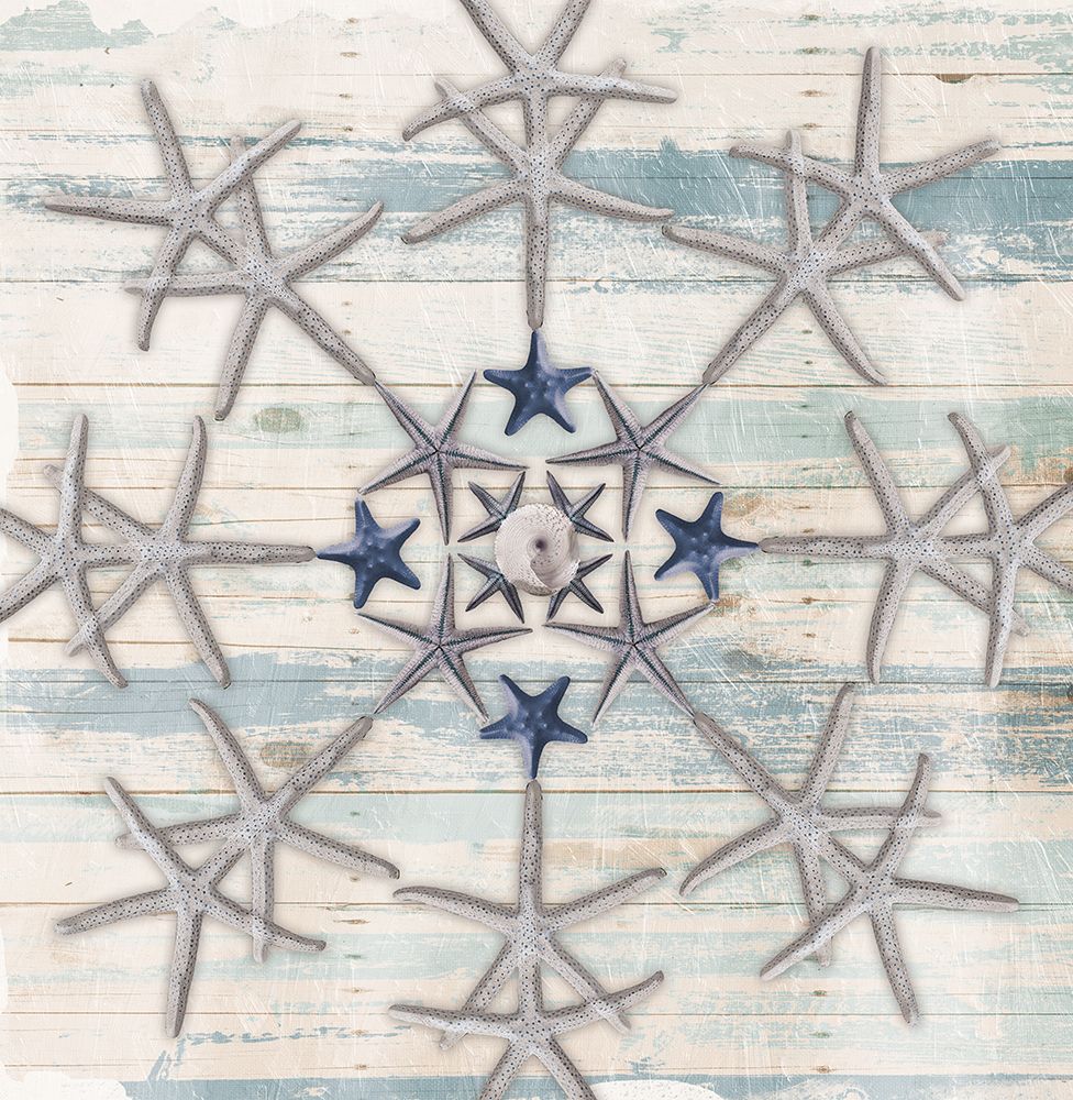 Star Flake 2 art print by Milli Villa for $57.95 CAD