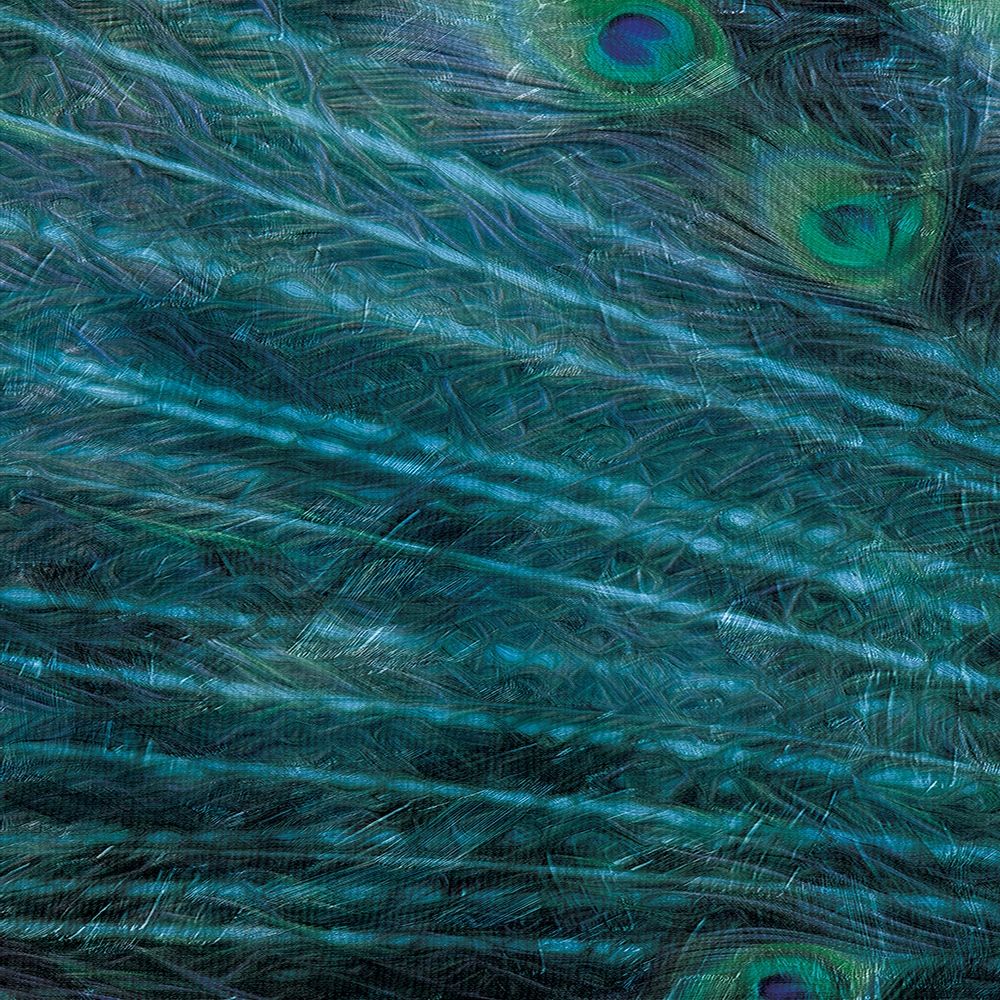 Peacock Galaxy One art print by Milli Villa for $57.95 CAD