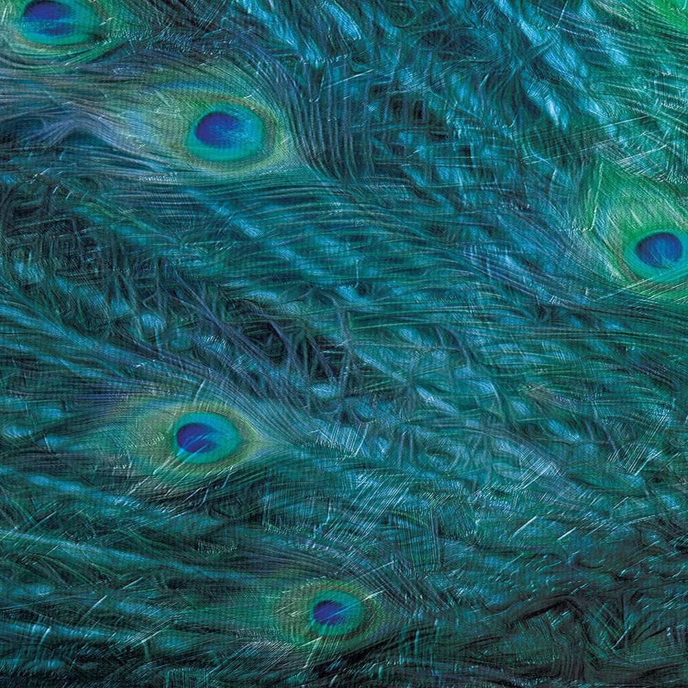 Peacock Galaxy Two art print by Milli Villa for $57.95 CAD