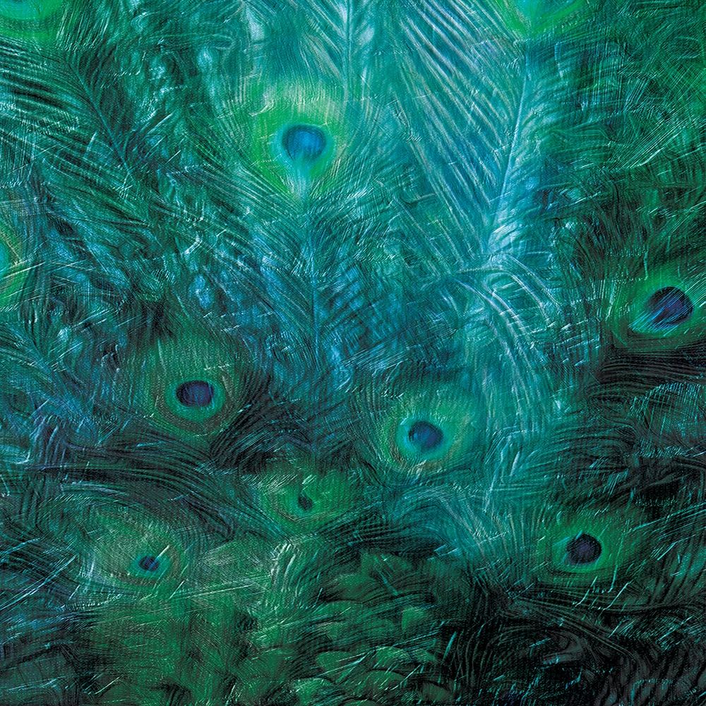 Peacock Galaxy Three art print by Milli Villa for $57.95 CAD