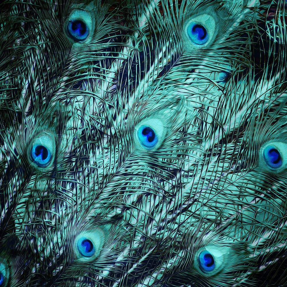Peacock Spread art print by Milli Villa for $57.95 CAD