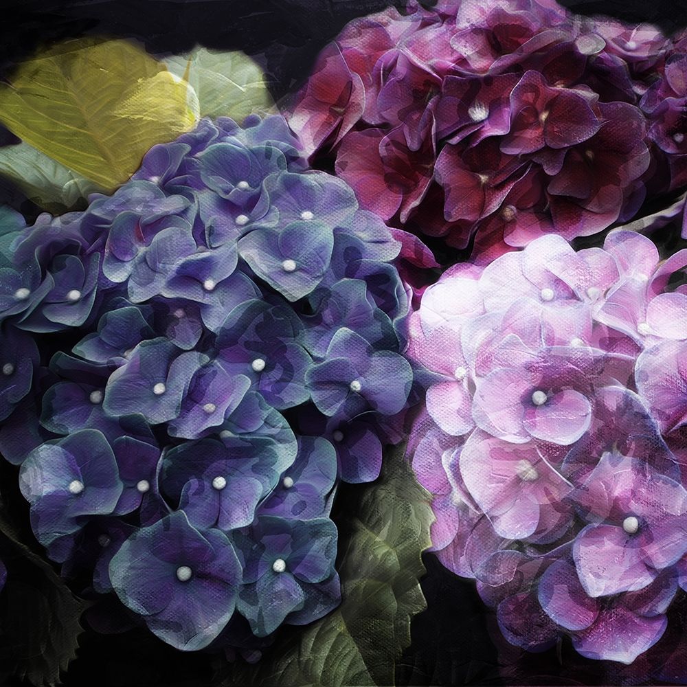 Purple Flower Bushels art print by Milli Villa for $57.95 CAD