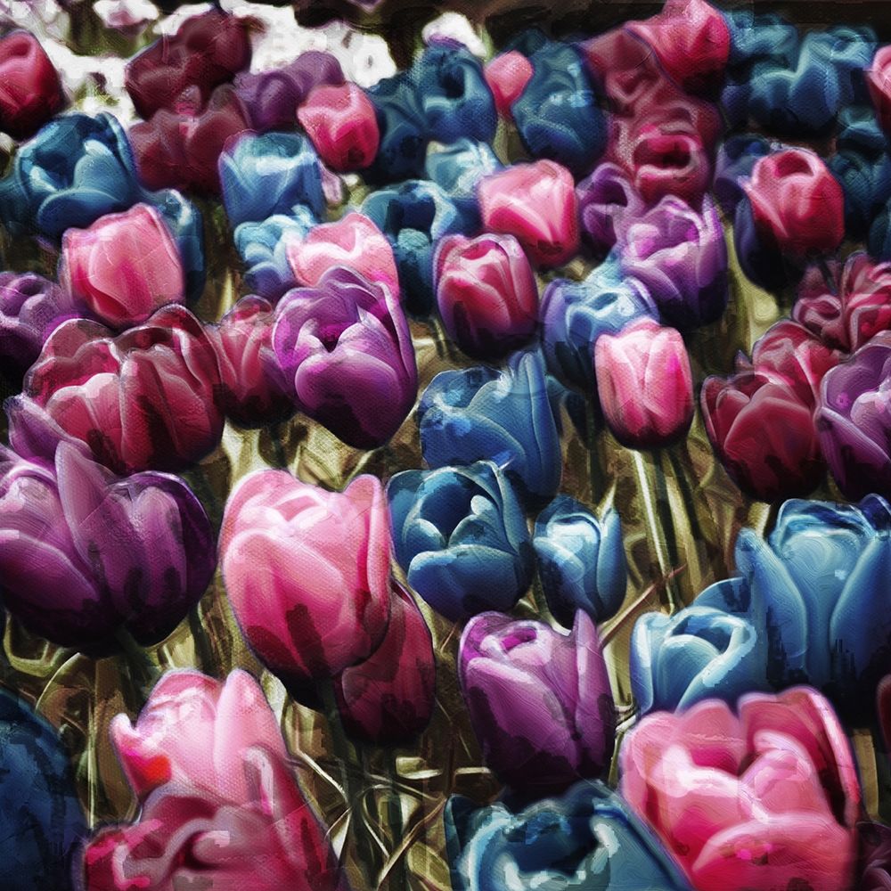 Colorful Tulips art print by Milli Villa for $57.95 CAD