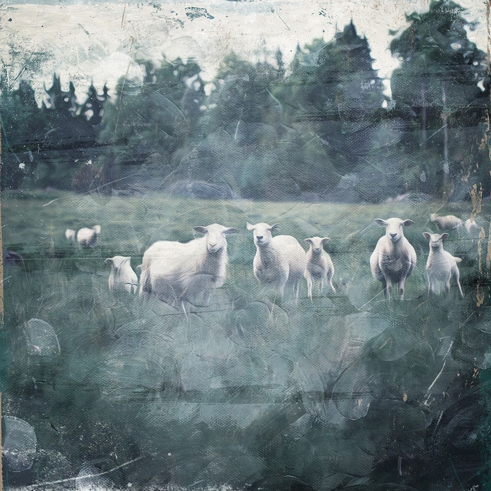 Sheep Loose art print by Milli Villa for $57.95 CAD