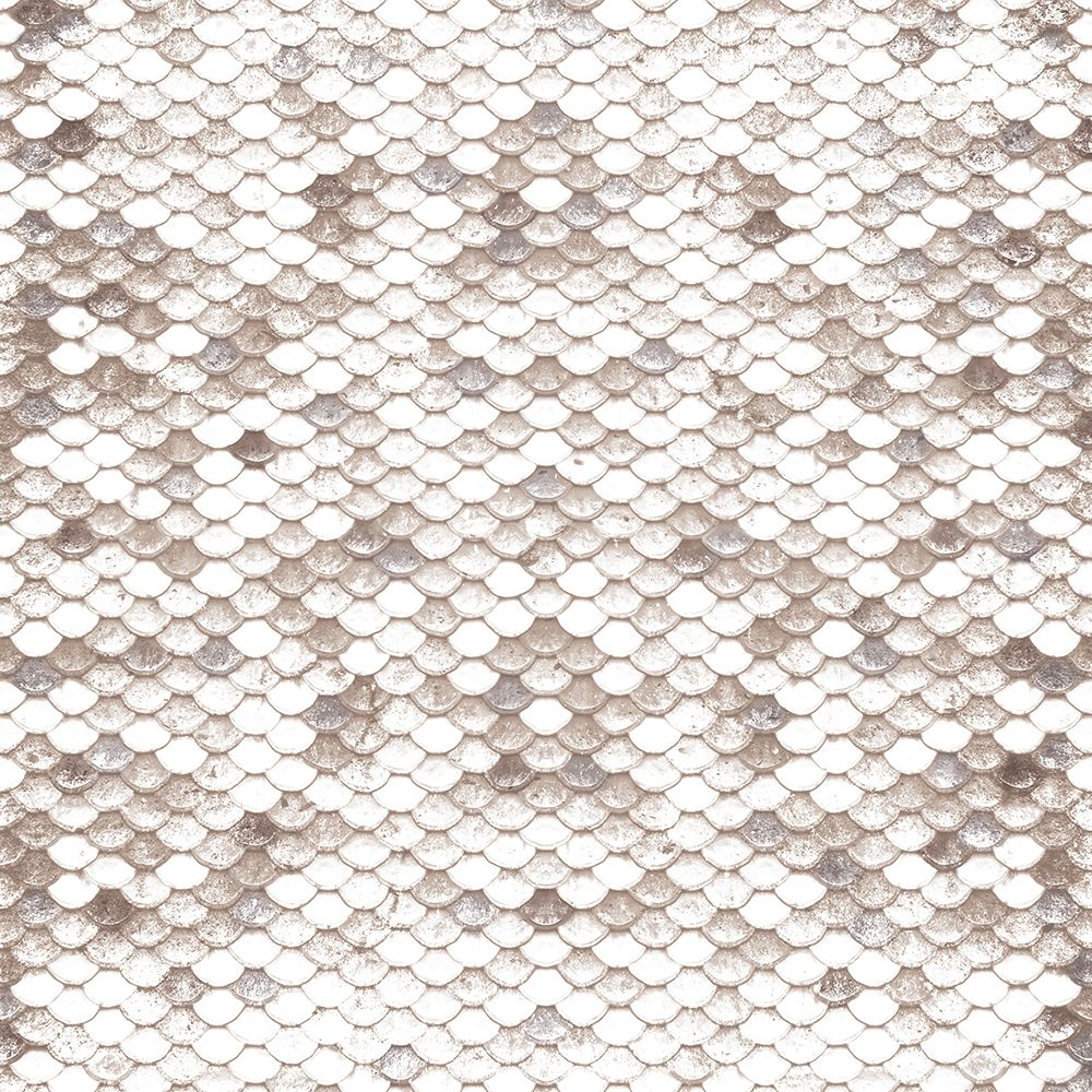 White Stone Scales art print by Milli Villa for $57.95 CAD