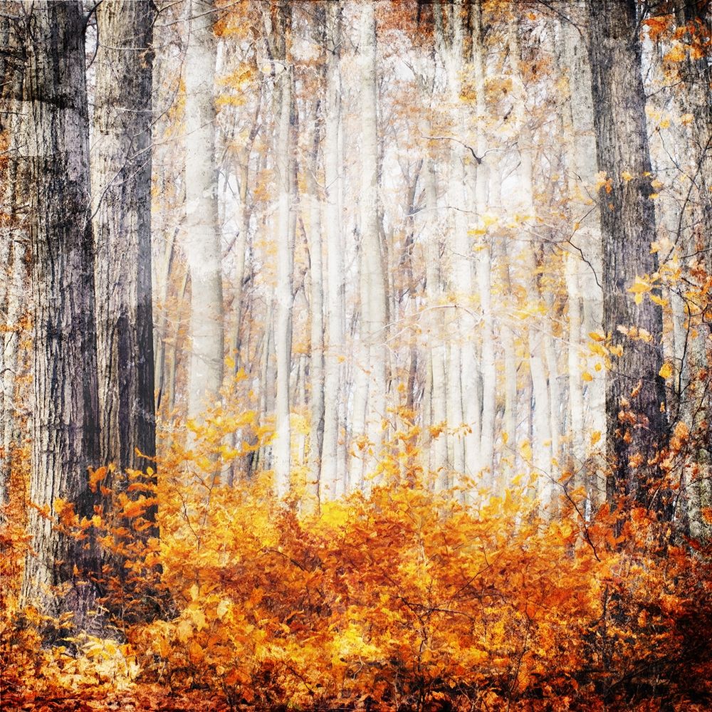 Fall in The Leaves art print by Milli Villa for $57.95 CAD