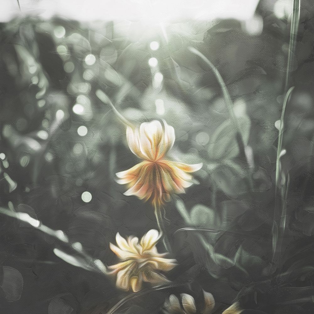 Flower In The Sun art print by Milli Villa for $57.95 CAD