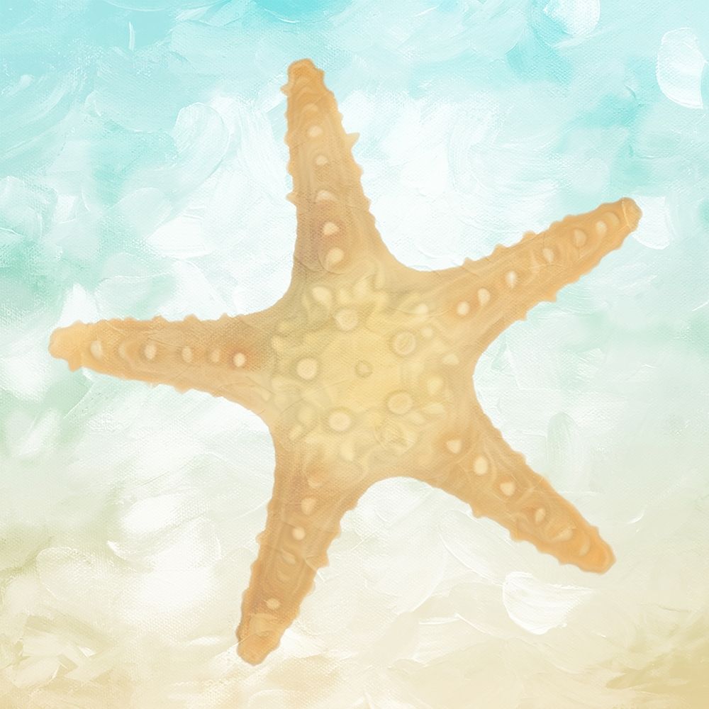 Star On The Beach art print by Milli Villa for $57.95 CAD