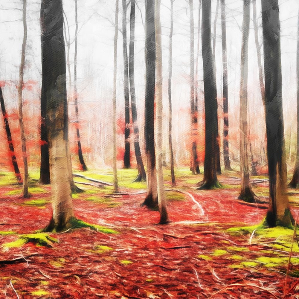 Fall Leaves Mate art print by Milli Villa for $57.95 CAD