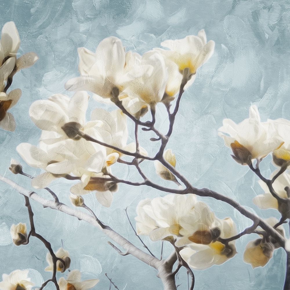 Tree Of White Flowers Mate art print by Milli Villa for $57.95 CAD