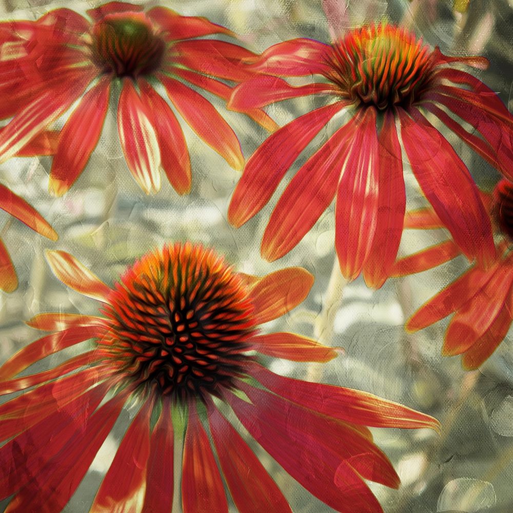 Three Flower Tops art print by Milli Villa for $57.95 CAD