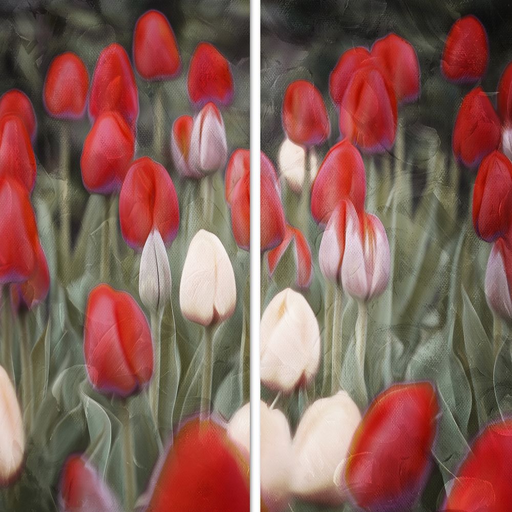 Red Flowers in a Group art print by Milli Villa for $57.95 CAD