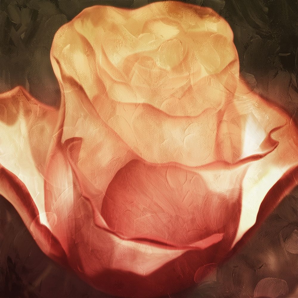 Fire Flower art print by Milli Villa for $57.95 CAD