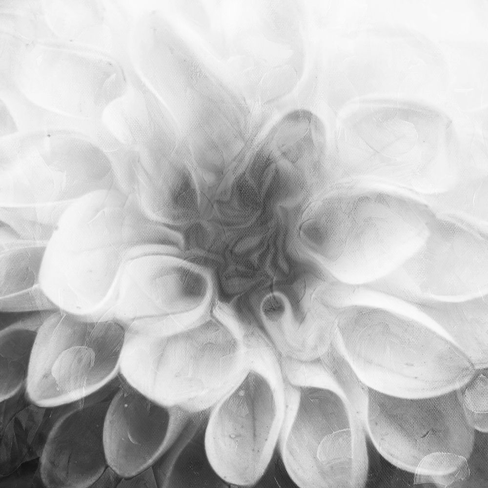 Past Flower art print by Milli Villa for $57.95 CAD