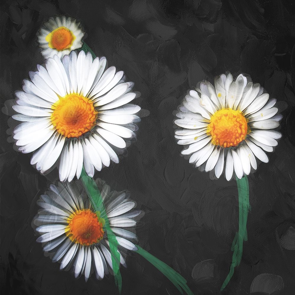 Together Flowers art print by Milli Villa for $57.95 CAD