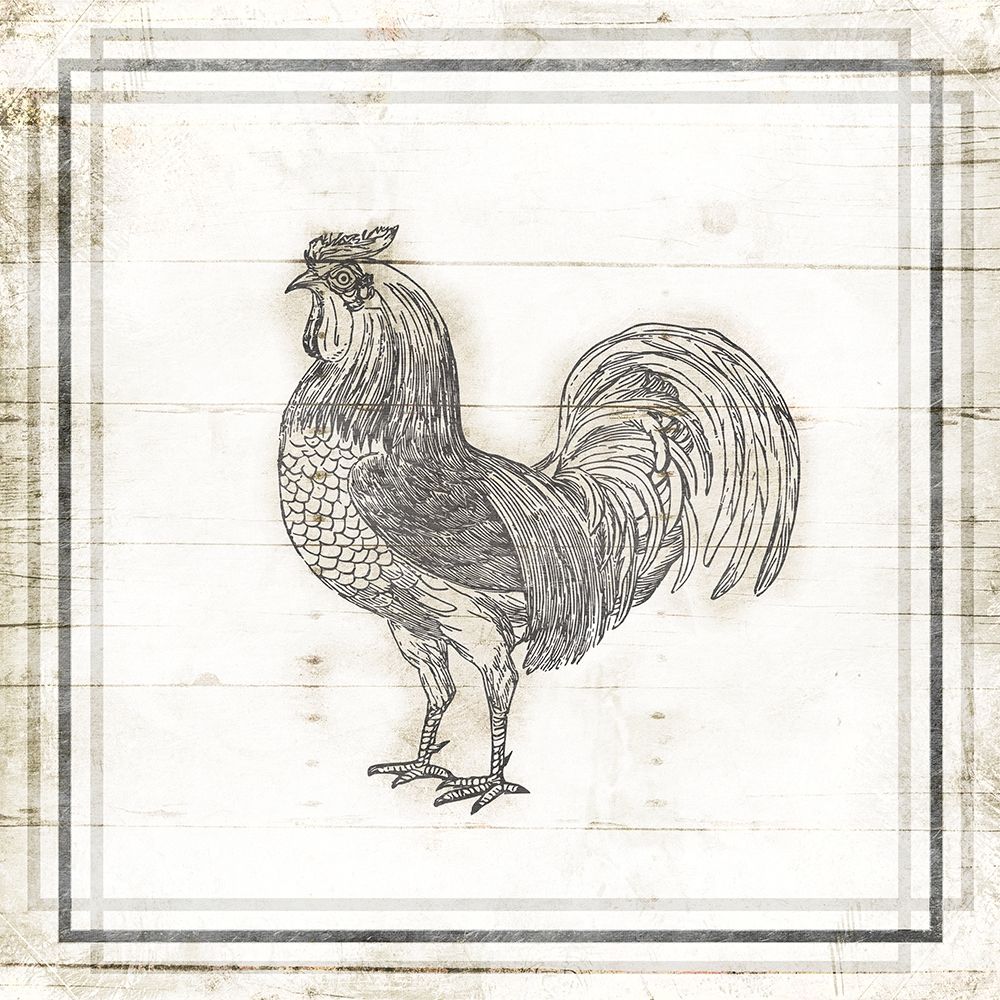 Modern Rooster art print by Milli Villa for $57.95 CAD
