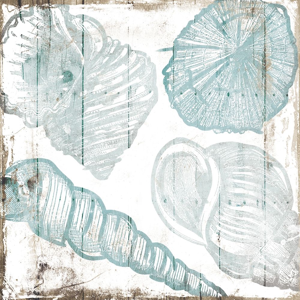 Sketched Shells art print by Milli Villa for $57.95 CAD
