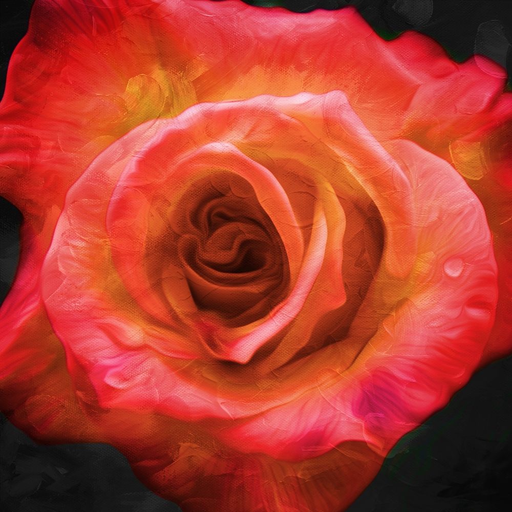 Burning Flower art print by Milli Villa for $57.95 CAD