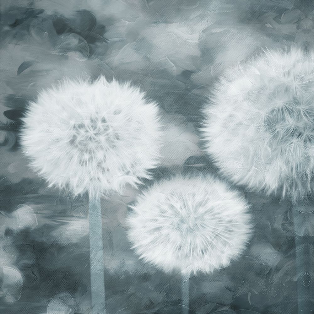 Make A Wish art print by Milli Villa for $57.95 CAD