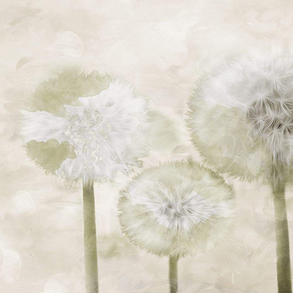 Make A Wish Cream art print by Milli Villa for $57.95 CAD