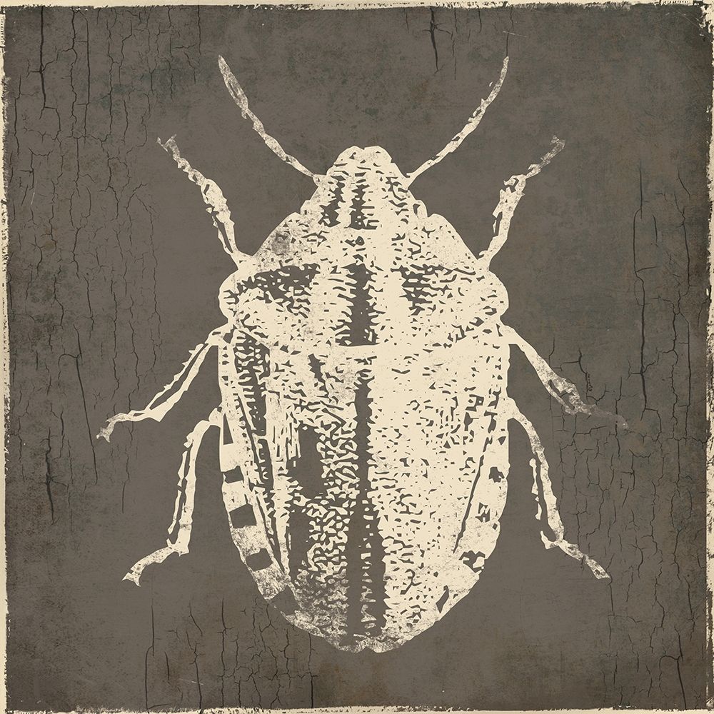 Bug Life Four art print by Milli Villa for $57.95 CAD