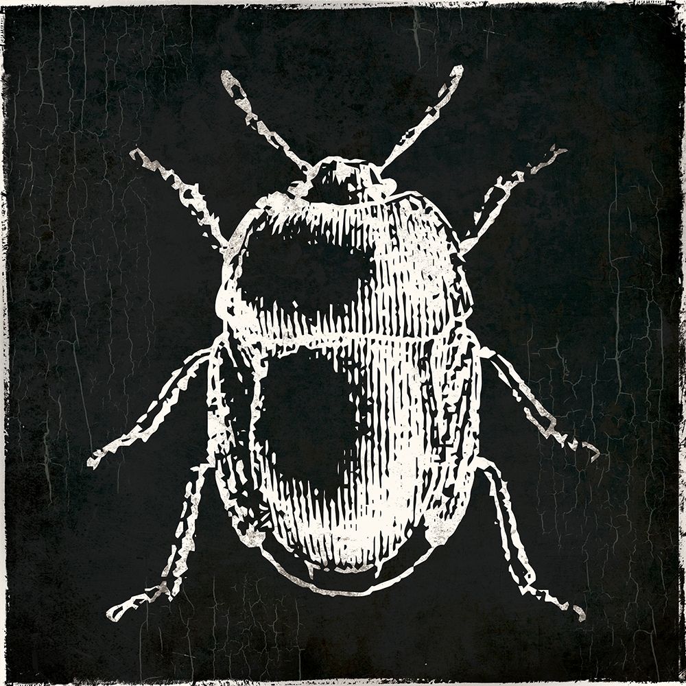 Bug Life Black art print by Milli Villa for $57.95 CAD