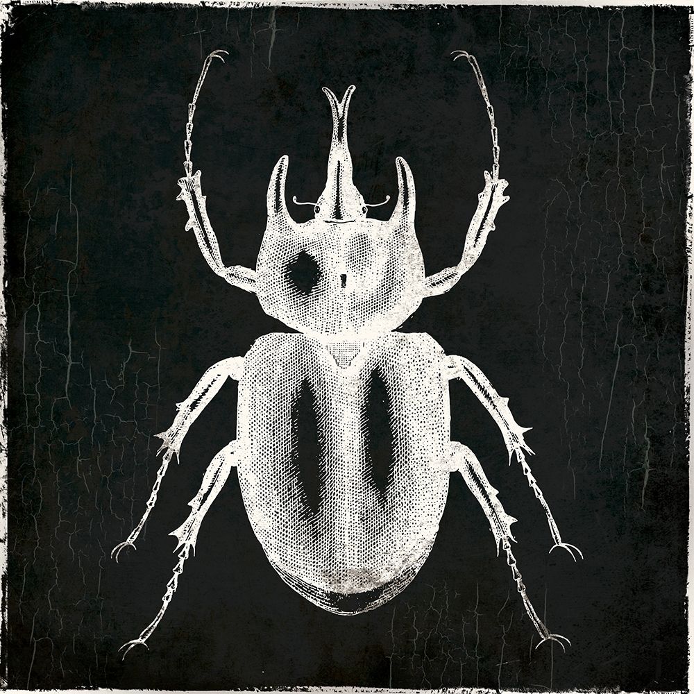 Bug Life Two Black art print by Milli Villa for $57.95 CAD