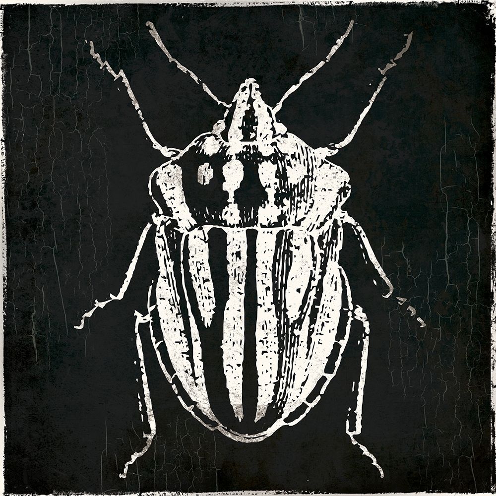 Bug Life Three Black art print by Milli Villa for $57.95 CAD
